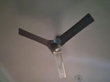 Shanti Singh review photo