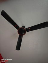 Mrinal review photo