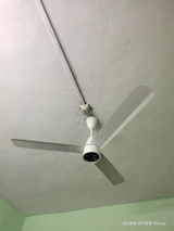 haridwar nonia review photo