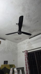 ARYA M P review photo