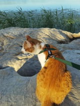 TravelMom review photo