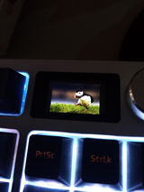 User picture
