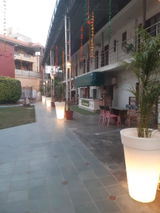 Dayal review photo
