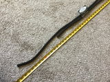 Justin Ritchey review photo