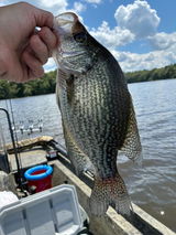Kevin S. review photo