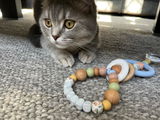 Charlotte B.(. review photo