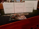 Kaitlyn Botha review photo