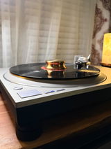 Steph review photo