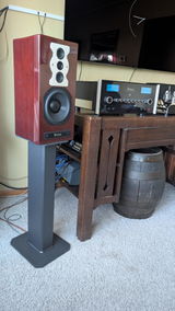 Scott Owens review photo