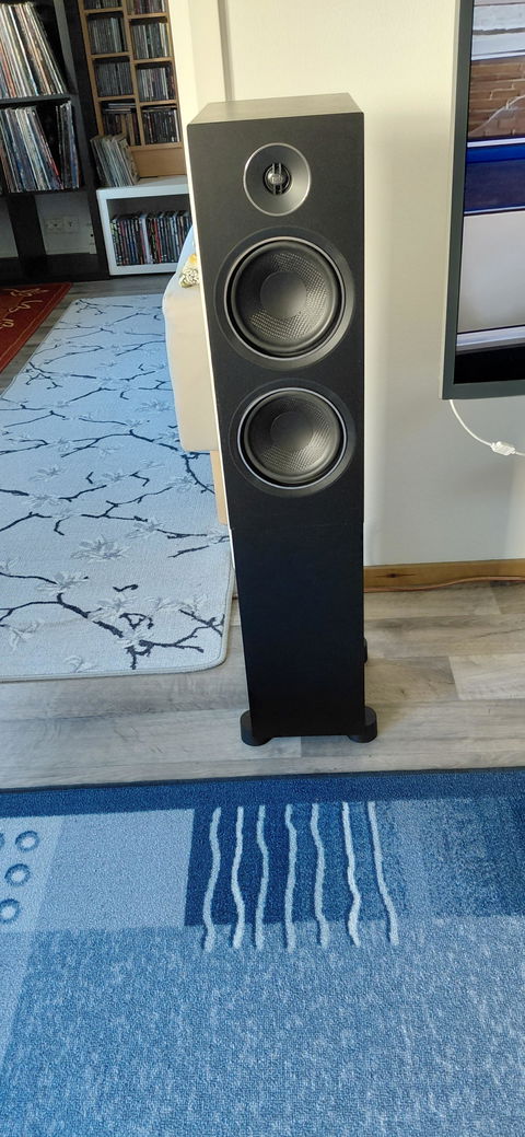psb Alpha T20 lattiakaiutinpari