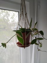 Renāte Brokāne review photo