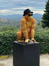 Le Tarzan du Var review photo
