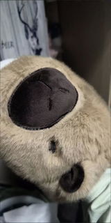 Imogen Cox review photo