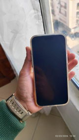 WILBUR Rodrigues review photo