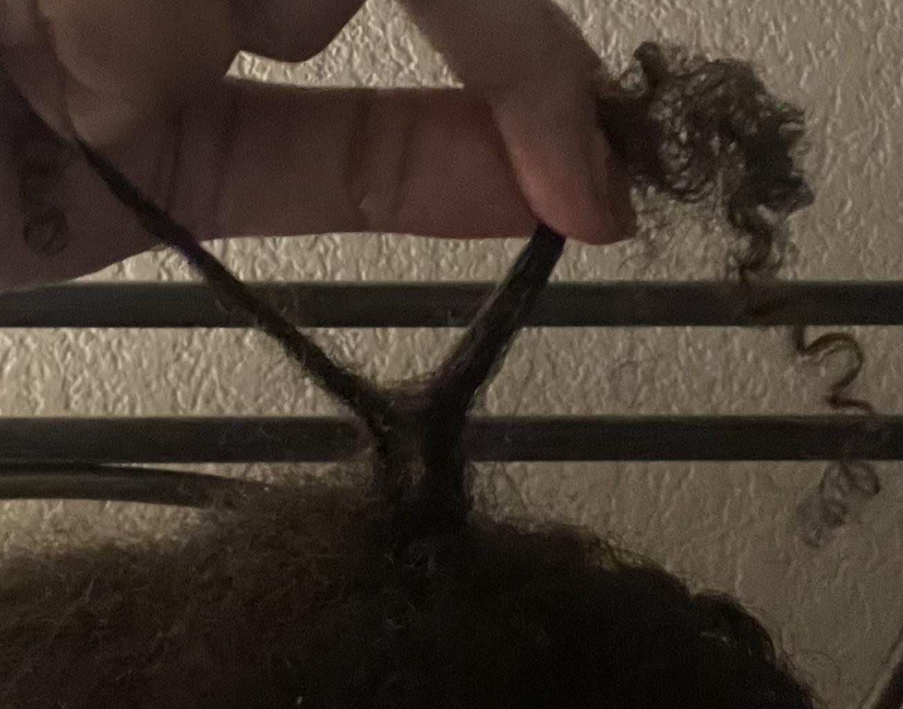 Layne review photo