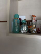 Karina Amado Leivas goulart review photo