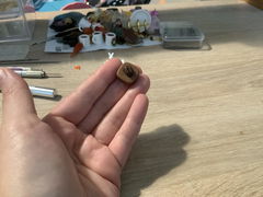 Review picture