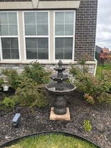 Amazon Customer review photo