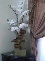 Amazon Customer review photo