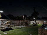 Amazon Customer review photo