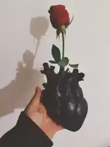 Shruti Agarwal review photo