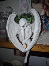 Preetie review photo