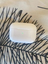Alexa review photo