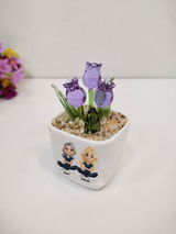 Phelan S. review photo