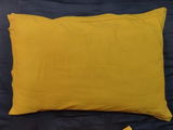 Purbayan Roy review photo