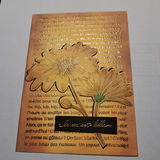 Patricia Sarti review photo
