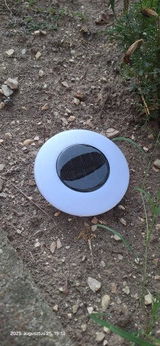 Alease Stehr review photo