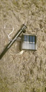 Vanda Dicki review photo