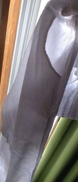 Raul S. review photo