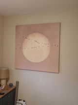 Cara Cotterill review photo