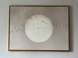 Silke review photo