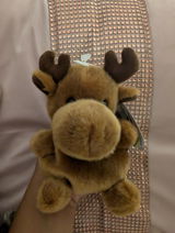 Arabella review photo
