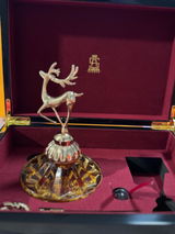 Shahd E. review photo