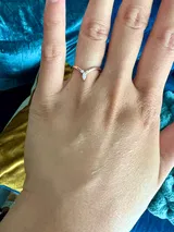 robert co review photo