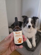 Gerslys R. review photo
