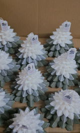 Eternally Enchanted Scents review photo