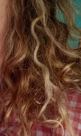 Goldilocks review photo
