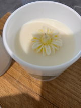 Rachal’s scent Haven review photo