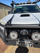 Skordy review photo