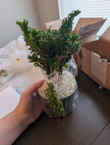 Etsy customer review photo