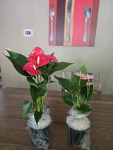 Etsy customer review photo
