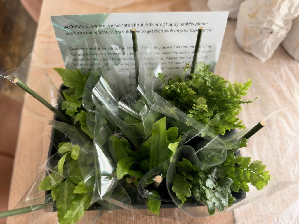 Pet Friendly Variety Bundle