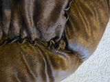 Kate review photo