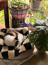Lulu review photo