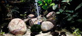 Anonym review photo