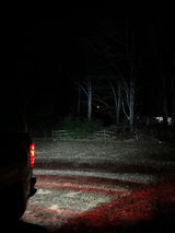 BdJ review photo